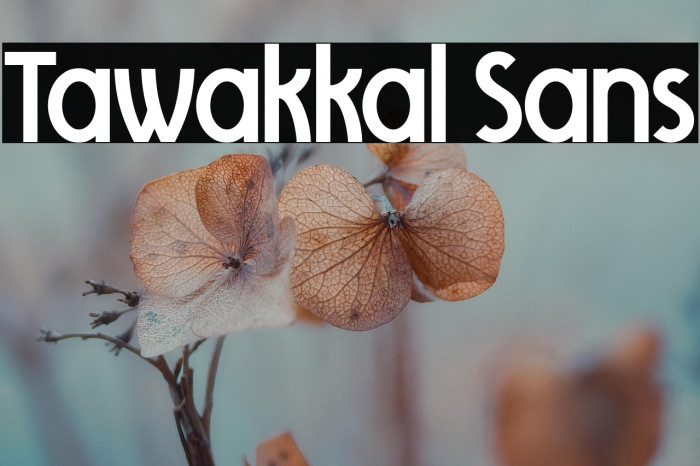 Tawakkal Sans Example 1