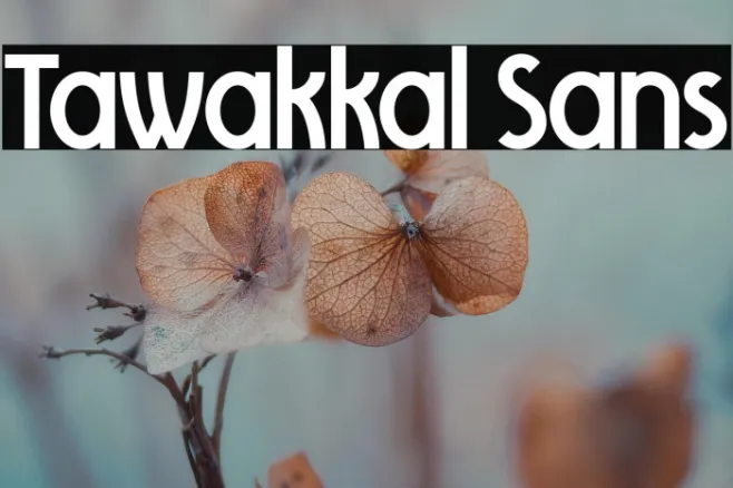 Tawakkal Sans Example 1
