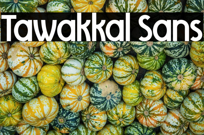 Tawakkal Sans Example 2