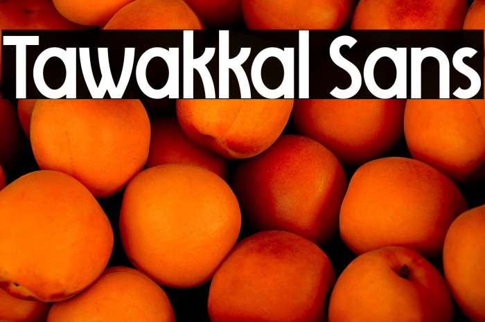 Tawakkal Sans Example 3