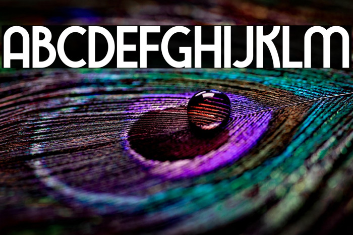 TawakkalSans Example 3