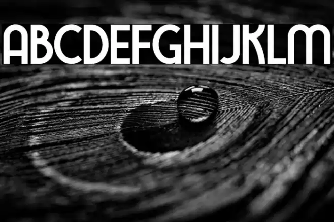 TawakkalSans Font examples