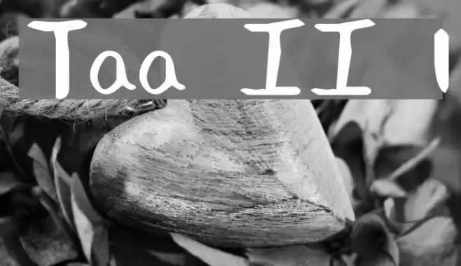 Tawattype II 1 Font examples