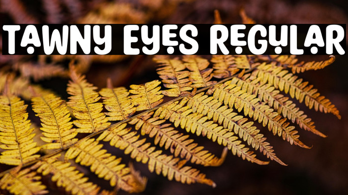 Tawny Eyes Regular Example 3