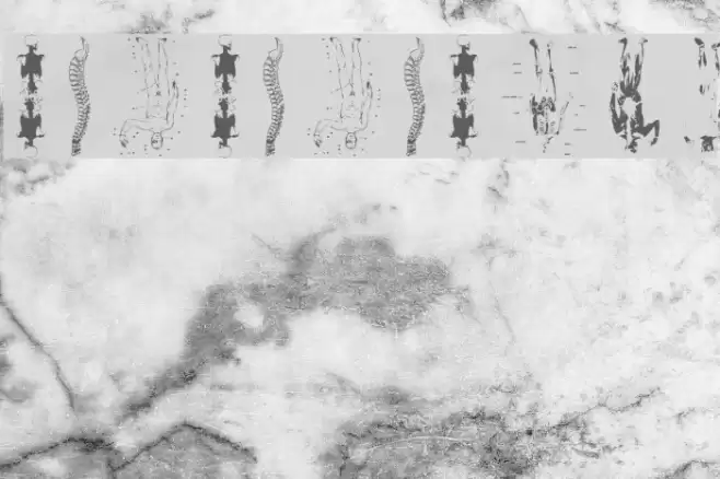 TaxTaxation Font examples