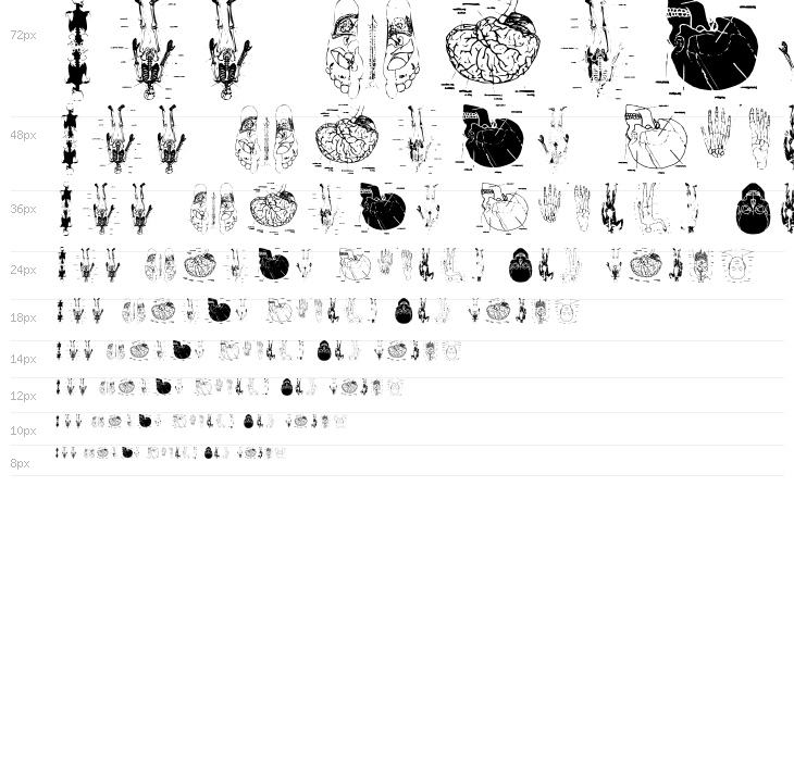 TaxTaxation Waterfall