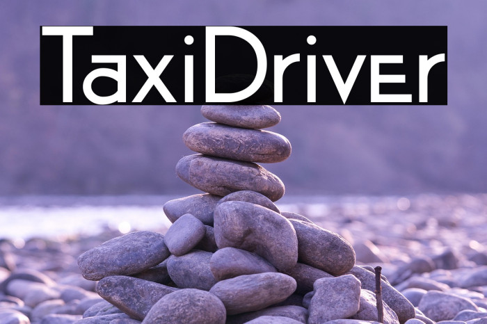 TaxiDriver Example 1