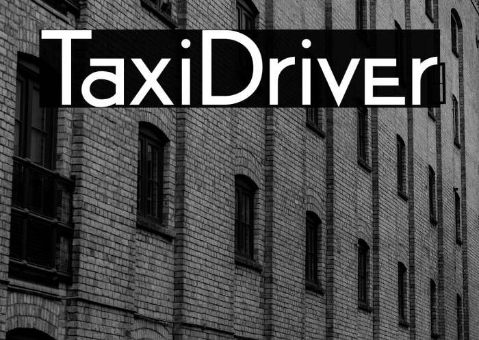 TaxiDriver Example 3