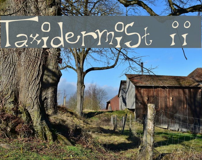 Taxidermist II Font examples