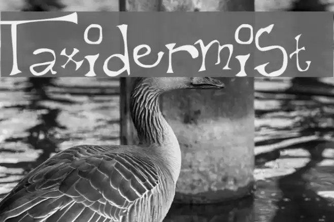 Taxidermist Font examples