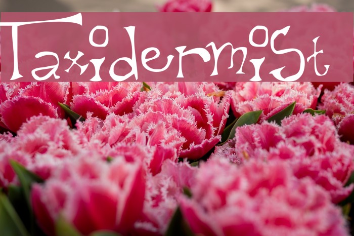 Taxidermist Font examples