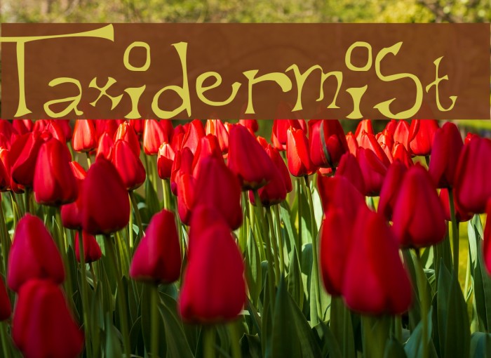 Taxidermist Font examples