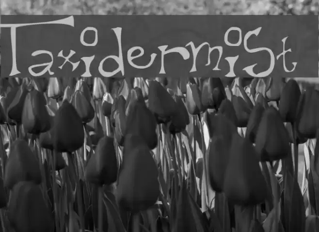 Taxidermist Font examples