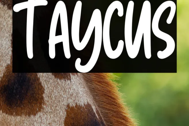 Taycus Example 2