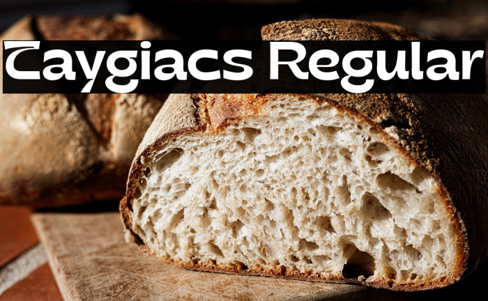 Taygiacs Regular Example 1