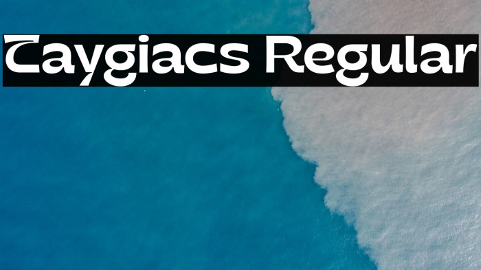 Taygiacs Regular Example 2