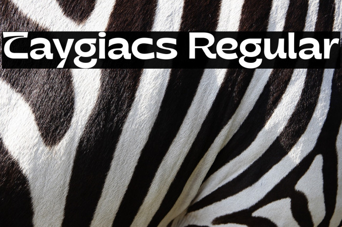 Taygiacs Regular Example 3