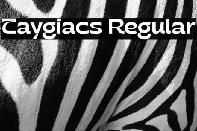 Taygiacs Regular Font examples