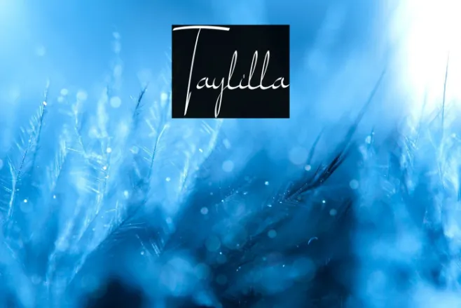 Taylilla Example 1