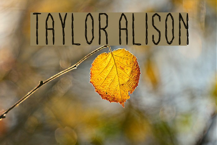 Taylor Alison Font examples