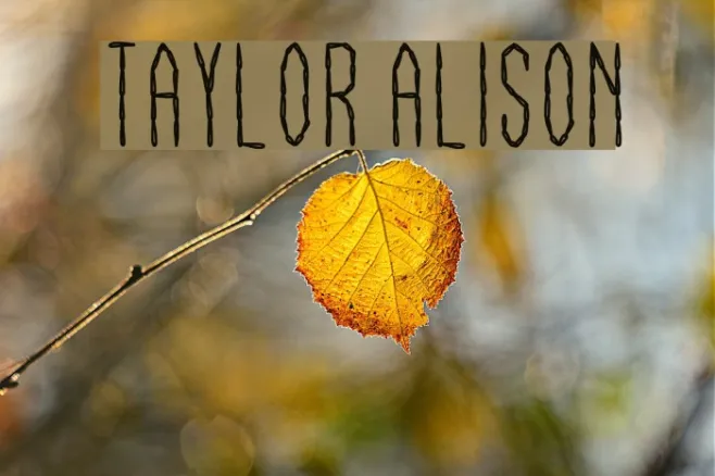 Taylor Alison Example 2
