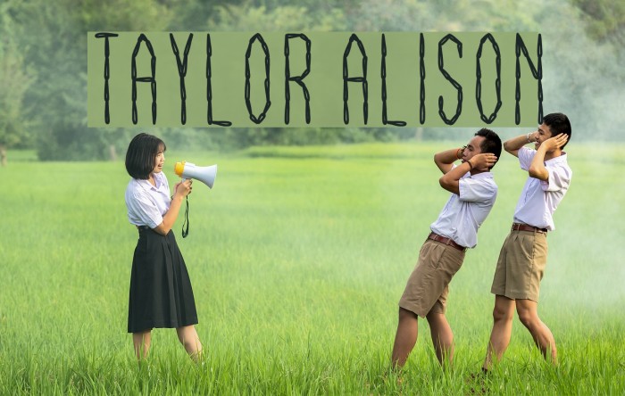 Taylor Alison Font examples