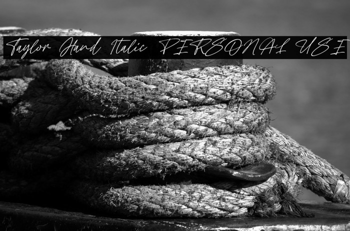 Taylor Hand Italic PERSONAL USE Example 1