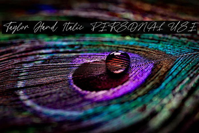Taylor Hand Italic PERSONAL USE Example 3