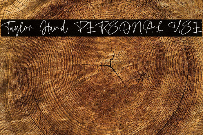Taylor Hand PERSONAL USE Example 1