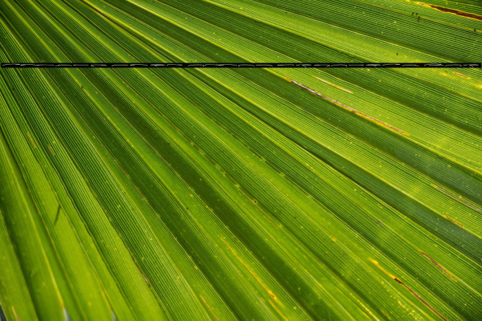 Taylor Hand Swash PERSONAL USE Example 2