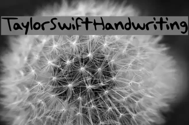 TaylorSwiftHandwriting Font examples