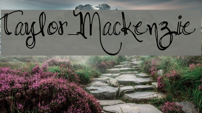 Taylor_Mackenzie Font examples