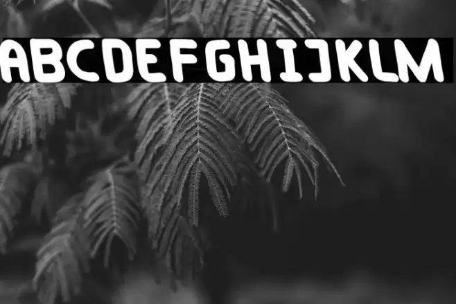 Taylorsit Oblique Font examples