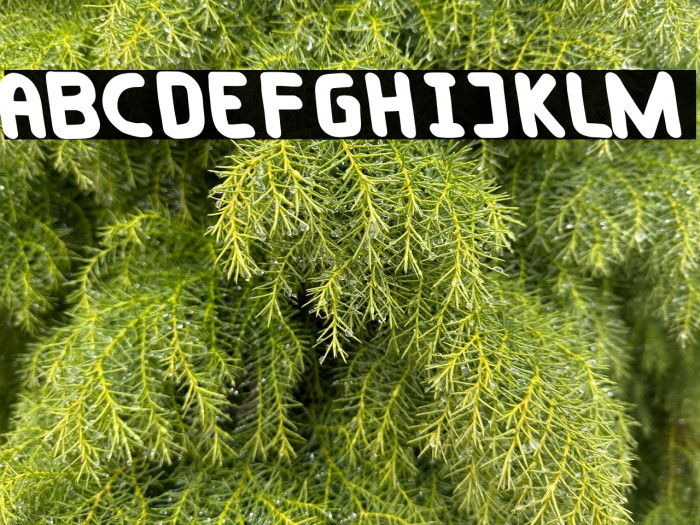 Taylorsit Oblique Example 3