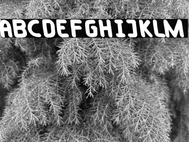 Taylorsit Oblique Font examples