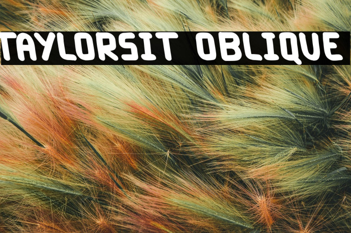 Taylorsit Oblique Example 2