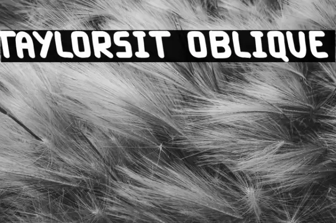 Taylorsit Oblique Font examples