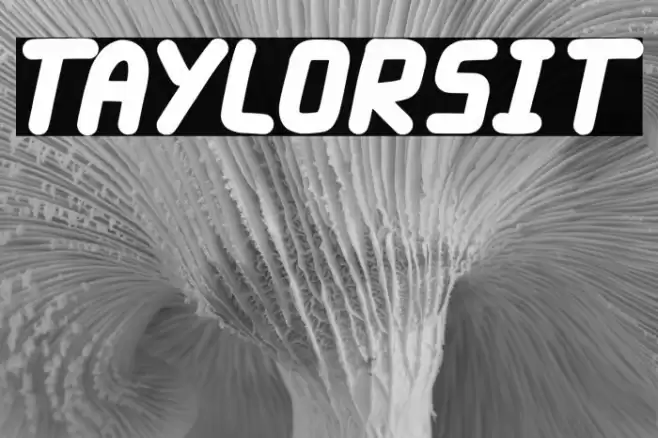 Taylorsit Font examples