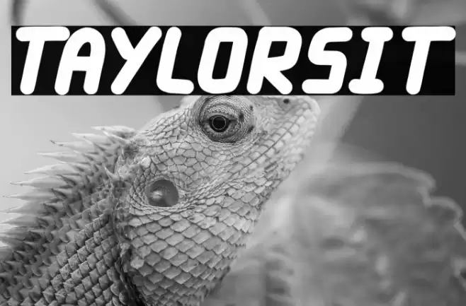 Taylorsit Font examples