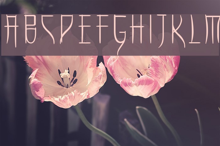 take Font examples