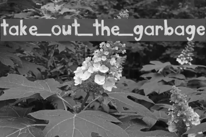 take_out_the_garbage Font examples