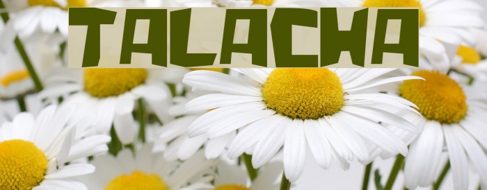 talacha Font examples