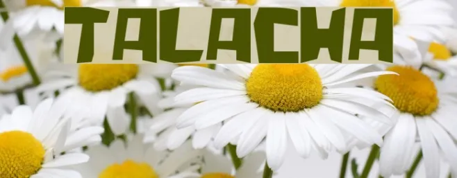 talacha Example 1