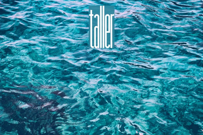 taller Font examples
