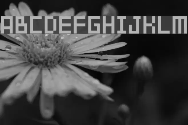 tama mini02 Font examples