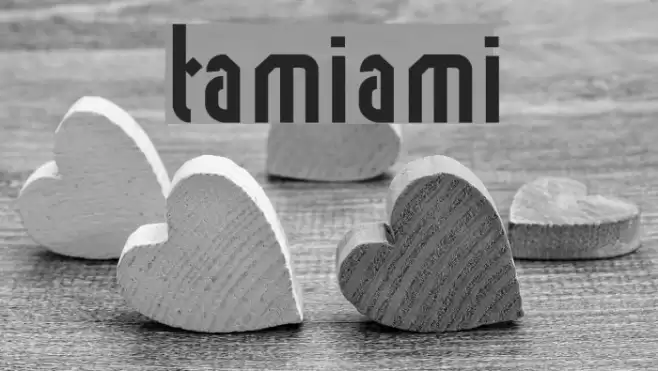 tamiami Font examples