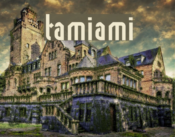 tamiami Example 2