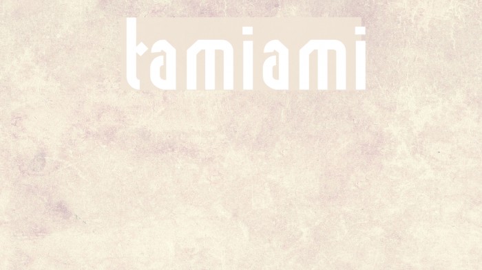tamiami Example 3