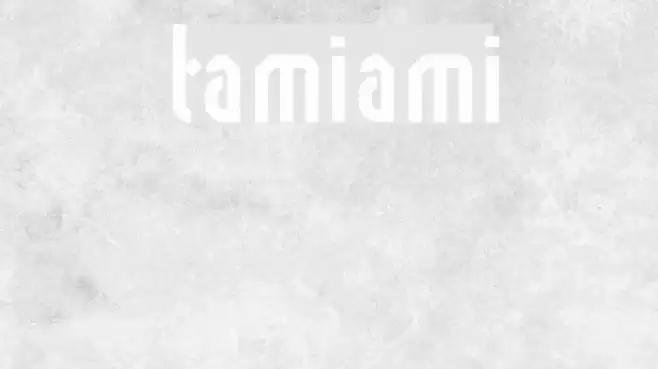 tamiami Font examples