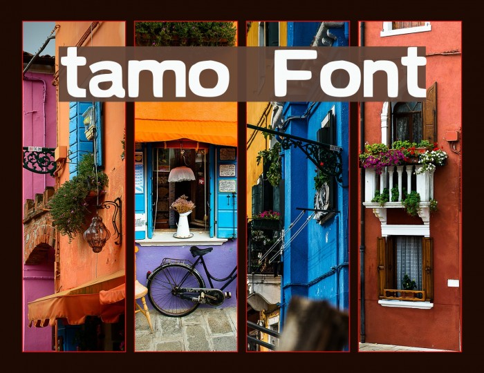 tamo Font examples
